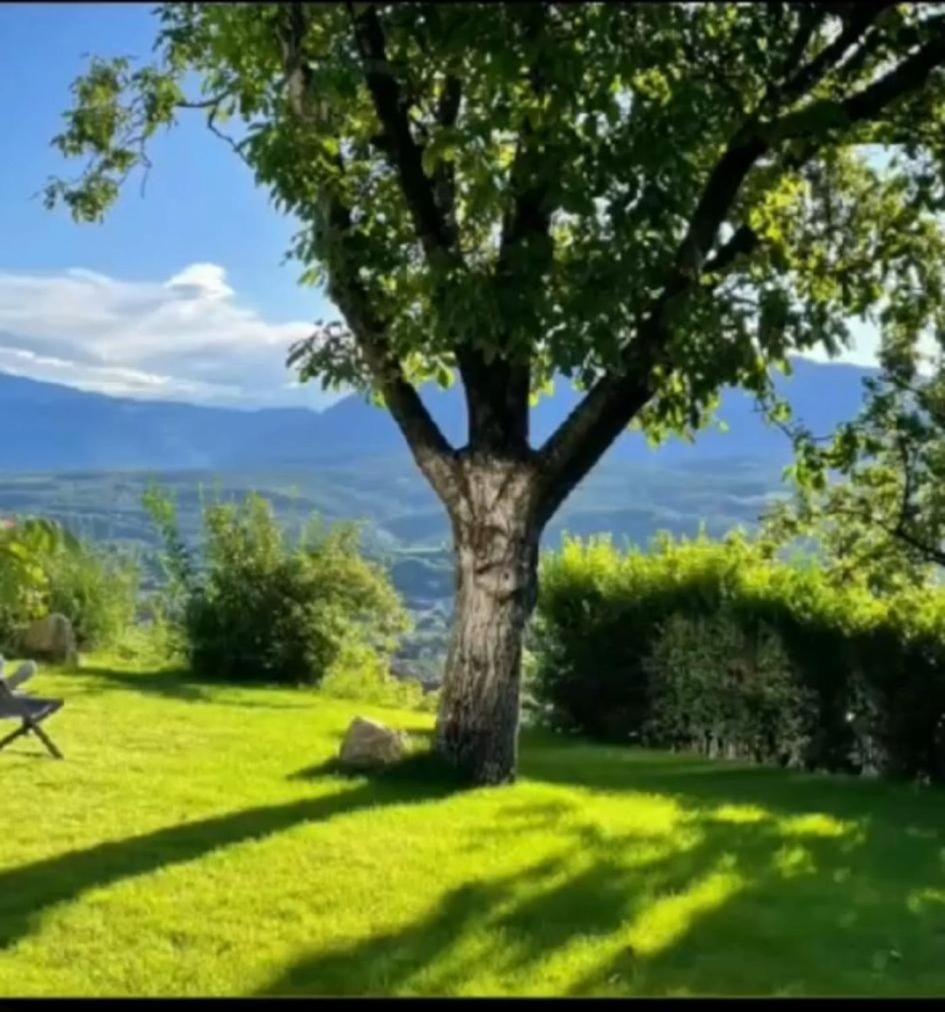 Apartamento San Antonia Caldaro sulla Strada del Vino Exterior foto